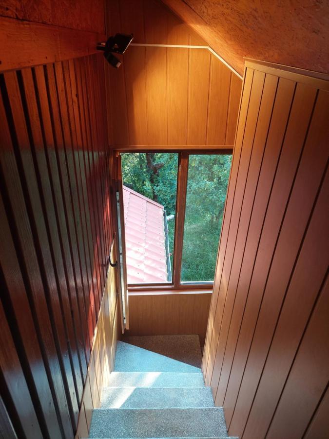 Cabana Cu Teren De Tenis -- Etaj Banita Dış mekan fotoğraf